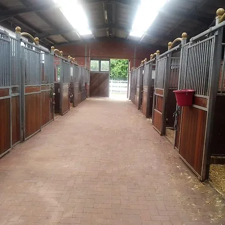Ranchhouse Hunde Und Pferde Willkommen Appartamento *