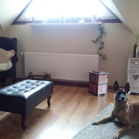 Ranchhouse Hunde Und Pferde Willkommen Apartment Aurich