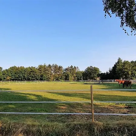 Ranchhouse Hunde Und Pferde Willkommen * Aurich