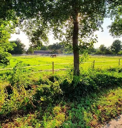 Ranchhouse Hunde Und Pferde Willkommen * Aurich
