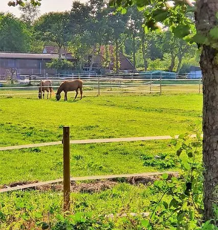 Ranchhouse Hunde Und Pferde Willkommen Appartamento