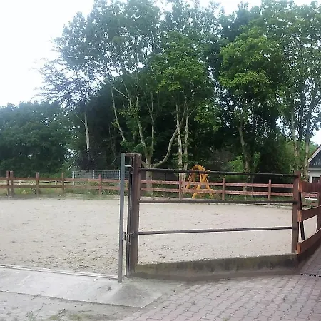 Ranchhouse Hunde Und Pferde Willkommen Appartamento
